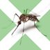 6 Surprising Dos and Donâ€™ts of Mosquito Bites