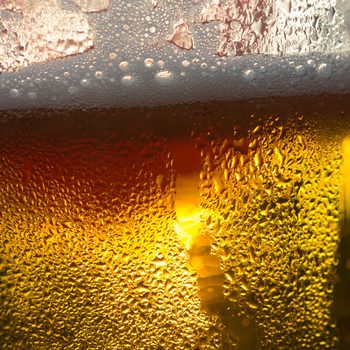 beer close-up, backlit by golden Sun