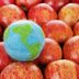 Nutrition Experts Share 6 Earth-Friendlier Ways to Enjoy Your Favorite Foods