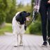 Walking for This Long Each Day May "Significantly" Reduce Osteoporosis Risk, Says New Study