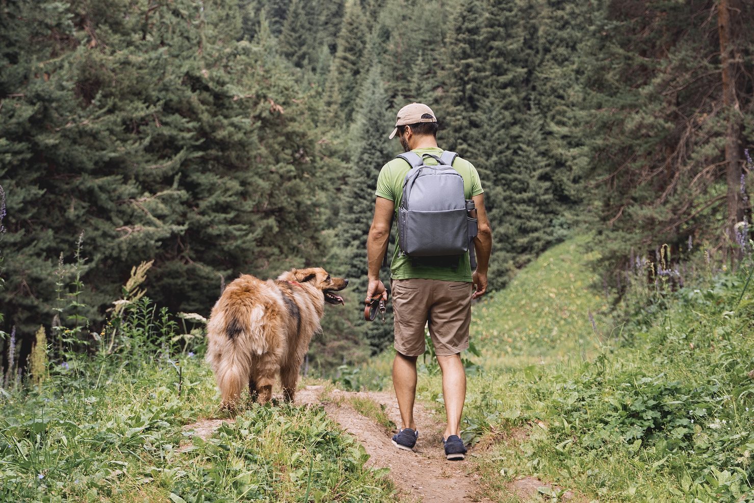 Want To Live Longer? Walk Just This Many Minutes “for Pleasure,” Says New Study