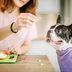 Can Dogs Eat Apples? Here's the Answer Multiple Veterinarians Give